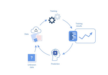 Feedback and improvement loop